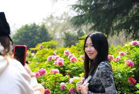 CHINA-HENAN-LUOYANG-PEONY (CN)