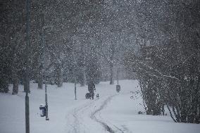 Snowfall In Linkoping