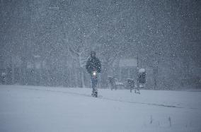 Snowfall In Linkoping