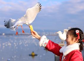 Xinhua Headlines: Migratory birds, hospitable Chinese paint picture of human-nature harmony