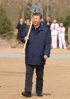 CHINA-BEIJING-LEADERS-TREE-PLANTING (CN)