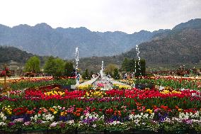 Tourist Visit The  Asia's Largest Tulip Garden