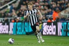 Newcastle United v Everton FC - Premier League