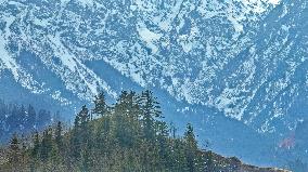 Qilian Snowy Mountain