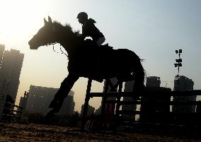 Indian Jockeys Ride Horse In Mumbai
