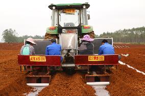 CHINA-GUANGXI-WUXUAN-SUGARCANE PLANTING-AGRICULTURAL MODERNIZATION (CN)