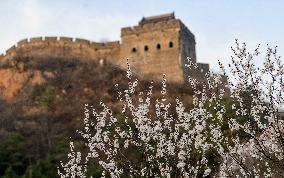 #CHINA-HEBEI-LUANPING-GREAT WALL (CN)