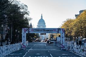 April 6th The Annual Cherry Blossom 5k  Took Place In  DC 2024
