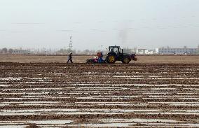 Sowing Cotton in Xinjiang