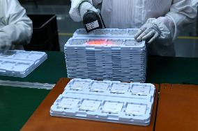 Consumer Lithium Battery Produce in Haian