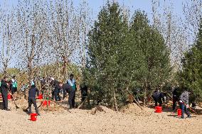 CHINA-BEIJING-MINISTERIAL OFFICIALS-TREE-PLANTING-VOLUNTEER EVENT (CN)