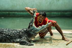 Samutprakarn Crocodile Farm And Zoo Reopens After.