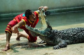 Samutprakarn Crocodile Farm And Zoo Reopens After.