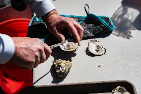 Neighbourhood  Oyster Shucking Party In Annandale VA