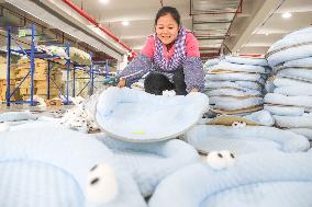 Pet Supply Trade Export in Huzhou