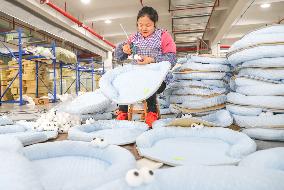 Pet Supply Trade Export in Huzhou