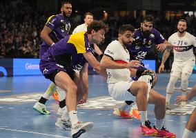 Handball - French Champ - Nantes V PSG