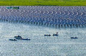 A Pearl Breeding Net at A Reservoir in Suqian