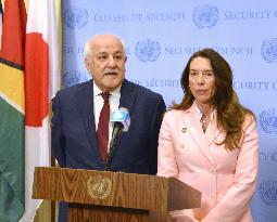 U.N. Security Council on Palestine membership