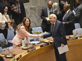 U.N. Security Council on Palestine membership