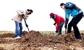 Volunteers Plant Trees in Zhangye