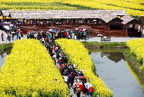 Tourists Enjoy Rape Flower in Xinghua