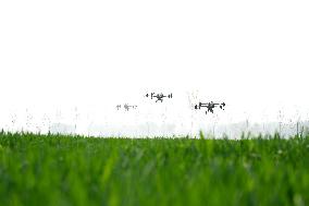 Drone Field