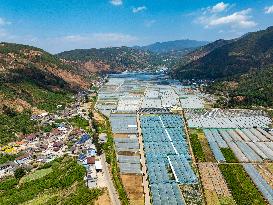 CHINA-SICHUAN-PANZHIHUA-MODERN AGRICULTURE (CN)