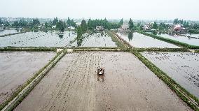 CHINA-HUNAN-YIYANG-SMART AGRICULTURE (CN)