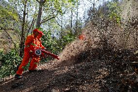 CHINA-SICHUAN-PANZHIHUA-FOREST-FIRE PREVENTION (CN)