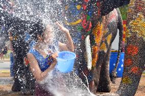 THAILAND-AYUTTHAYA-ELEPHANTS-SPLASHING WATER-FESTIVAL