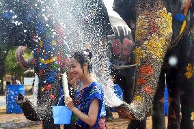 THAILAND-AYUTTHAYA-ELEPHANTS-SPLASHING WATER-FESTIVAL