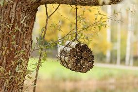 An insect hotel suspended from a tree in Espoo on October 19, 2023.