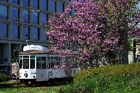 ITALY-MILAN-SPRING SCENERY