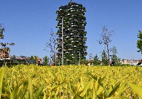 ITALY-MILAN-SPRING SCENERY