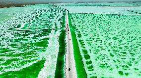Emerald Lake Scenery in Haixi
