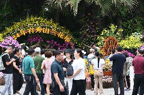Orchid Exhibition in Nanning