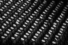Files - Graduation Parade Of The Army - Tehran