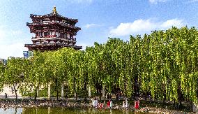 CHINA-SHAANXI-XI'AN-SPRING-TOURISM (CN)