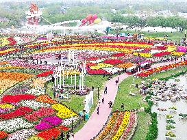 Tulips Tour in Yancheng