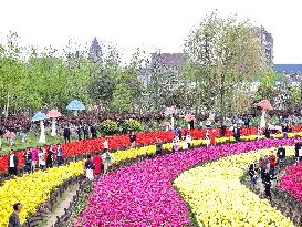 Tulips Tour in Yancheng