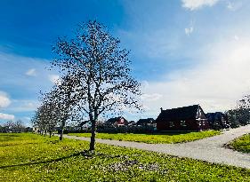Spring In Linköping, Sweden