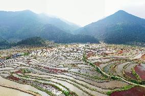 Zaibie Terrace Field in Congjiang