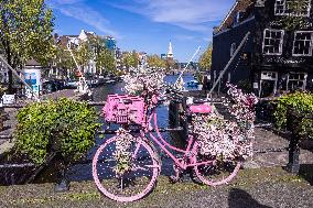 Flower Decorated Bike In Amsterdam
