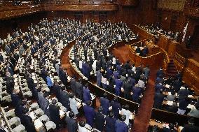 Japan lower house OKs bill to allow joint custody after divorce