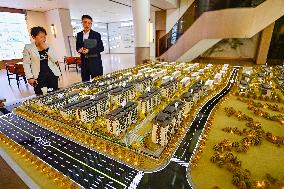 China Real Estate Market