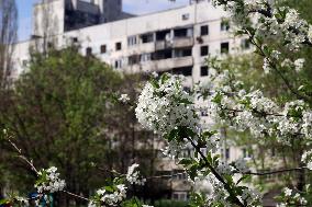Kharkiv in spring