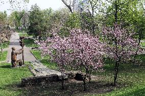 Dnipro in spring