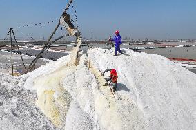 Workers Raze Salt in The Guanxi Salt Field in Lianyungang