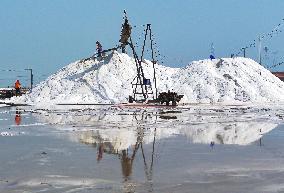 Workers Raze Salt in The Guanxi Salt Field in Lianyungang